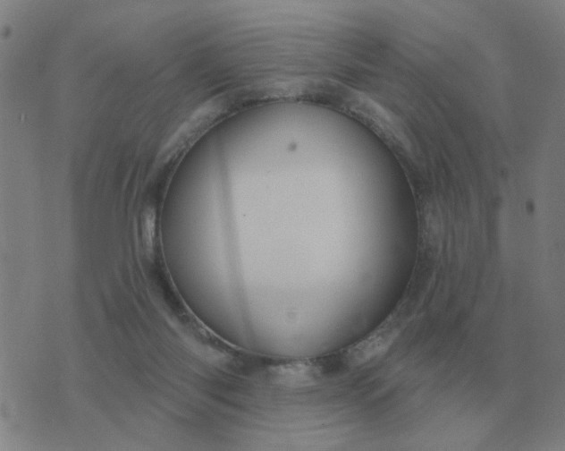 X0000074340118200609082107