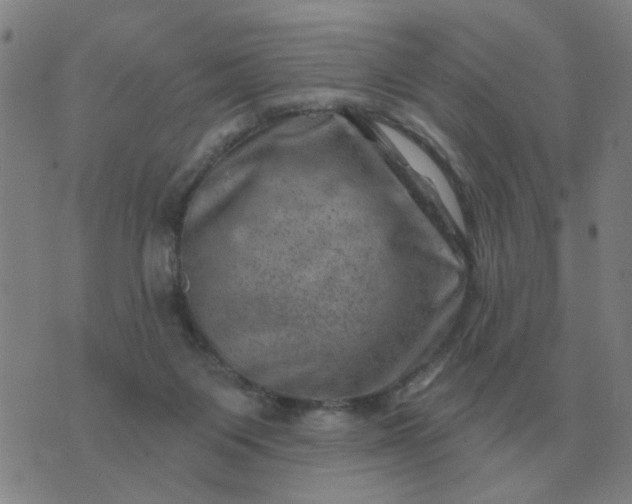 X0000074340119200609082107