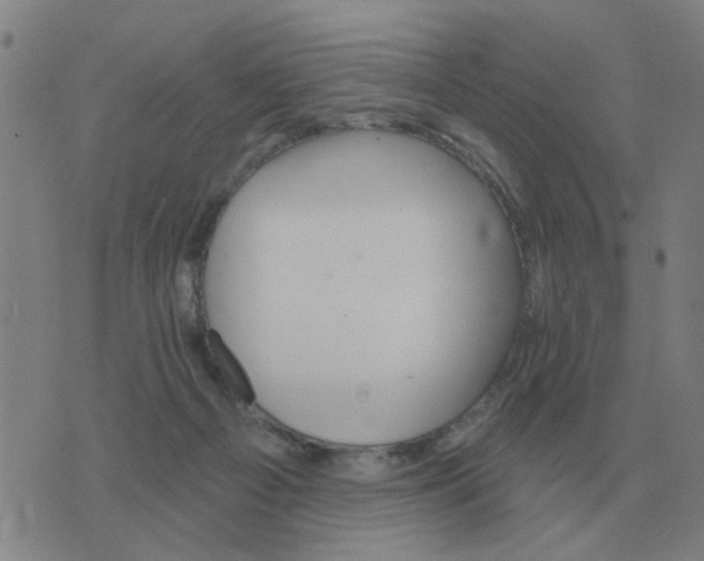 X0000074340121200609082107