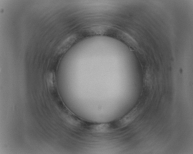 X0000074340122200609082107