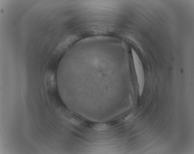 X0000074340123200609082107