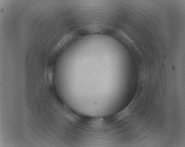 X0000074340124200609082107