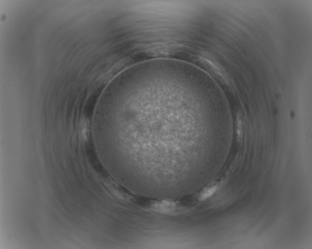 X0000074340125200609082107