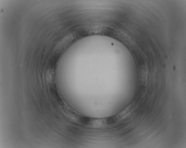 X0000074340126200609082107