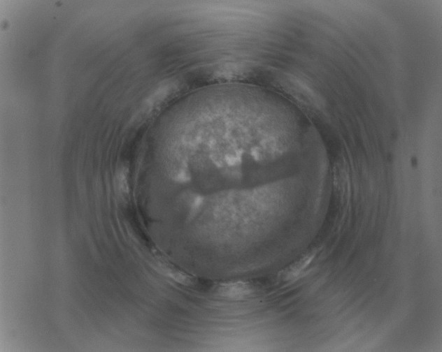 X0000074340127200609082107