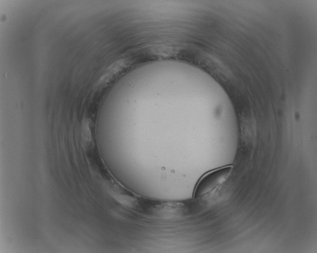 X0000074340128200609082107