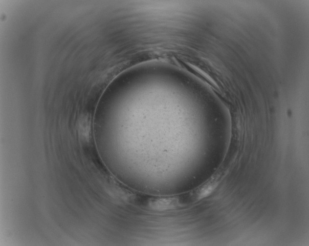 X0000074340129200609082107