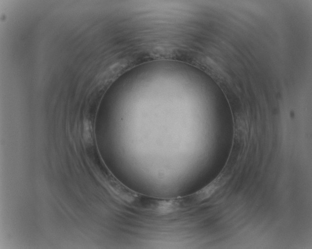 X0000074340130200609082107