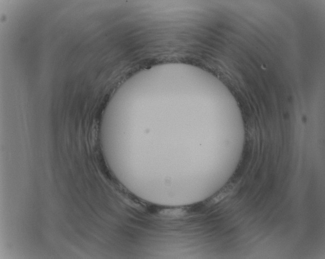 X0000074340133200609082107