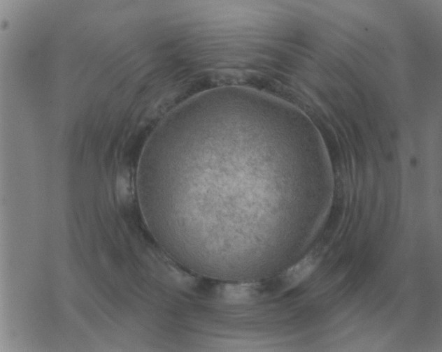 X0000074340134200609082107