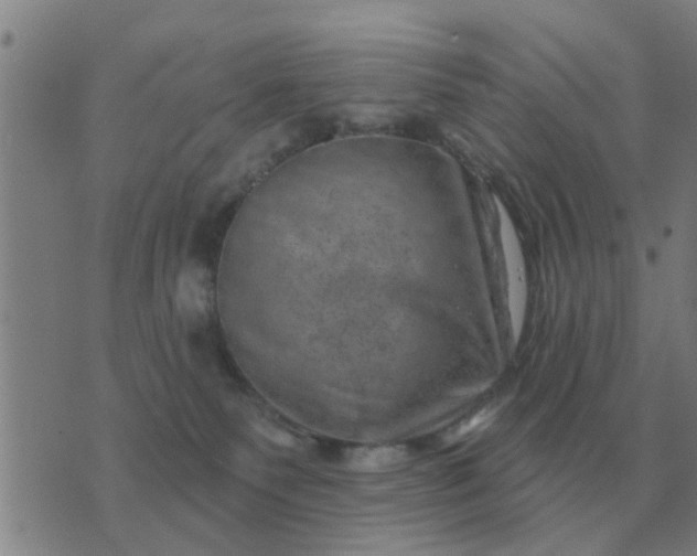 X0000074340135200609082107