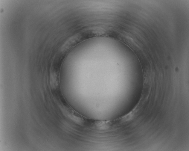 X0000074340136200609082107