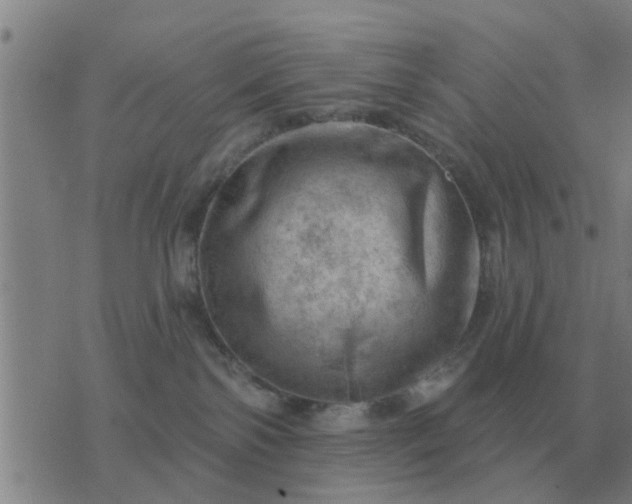 X0000074340138200609082106