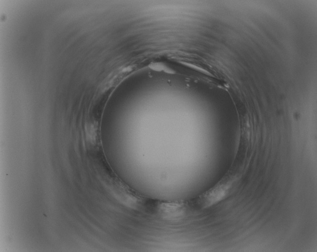 X0000074340139200609082106