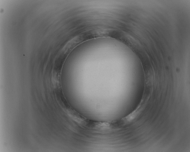 X0000074340140200609082106