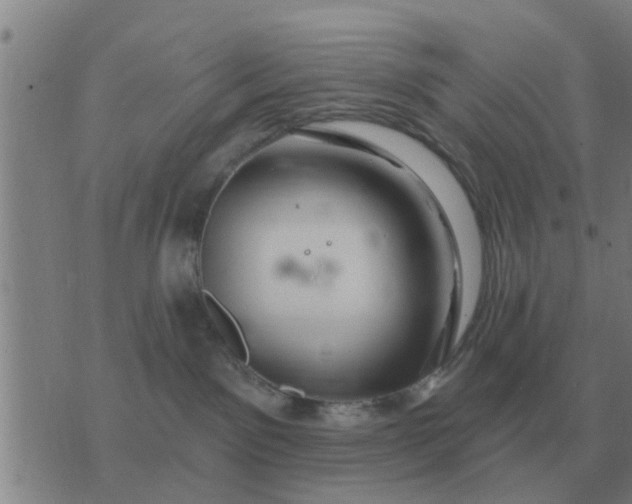 X0000074340141200609082106