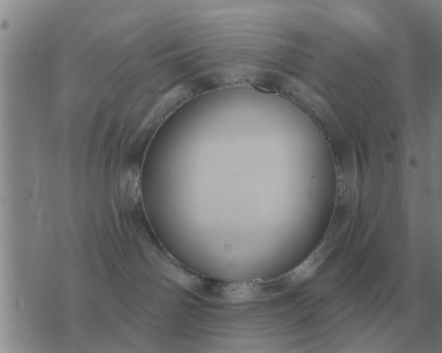 X0000074340142200609082106