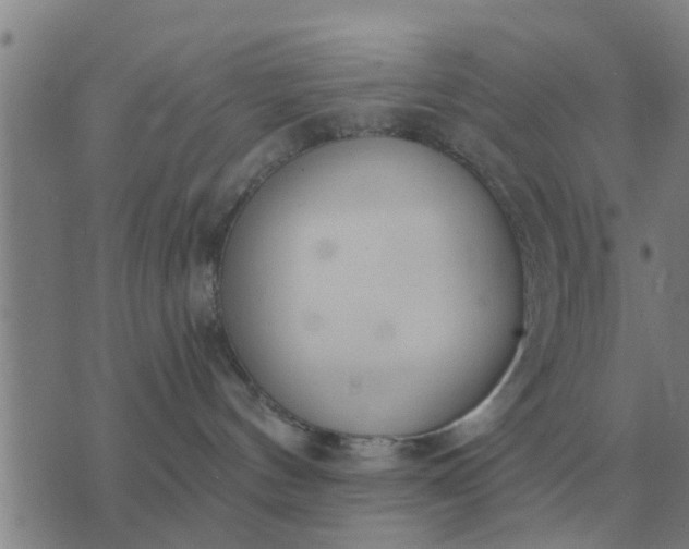 X0000074340144200609082106