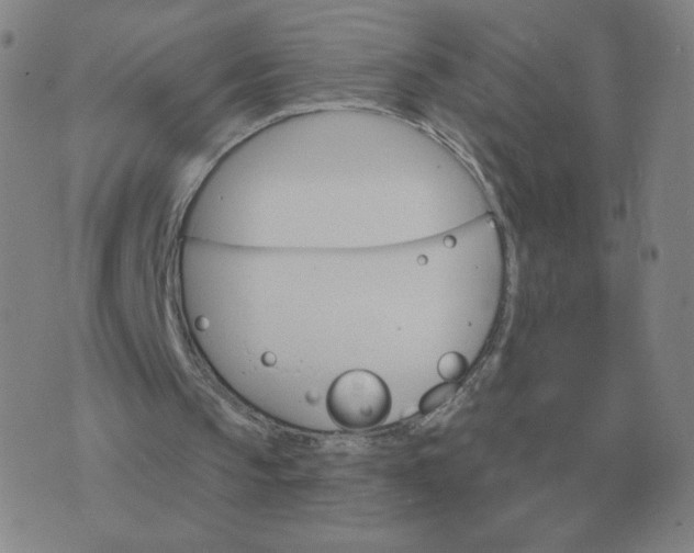 X0000074340145200609082106