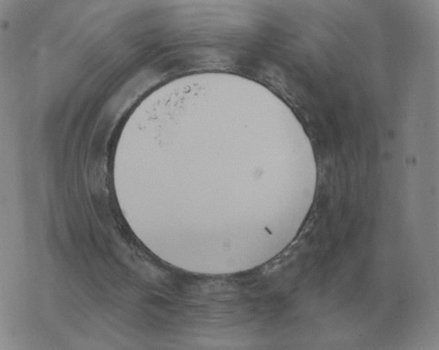 X0000074340146200609082106