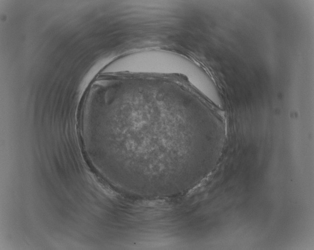 X0000074340147200609082106