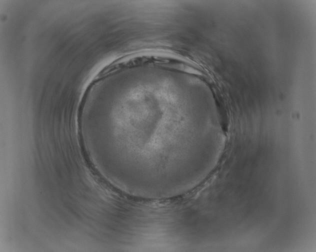 X0000074340148200609082106