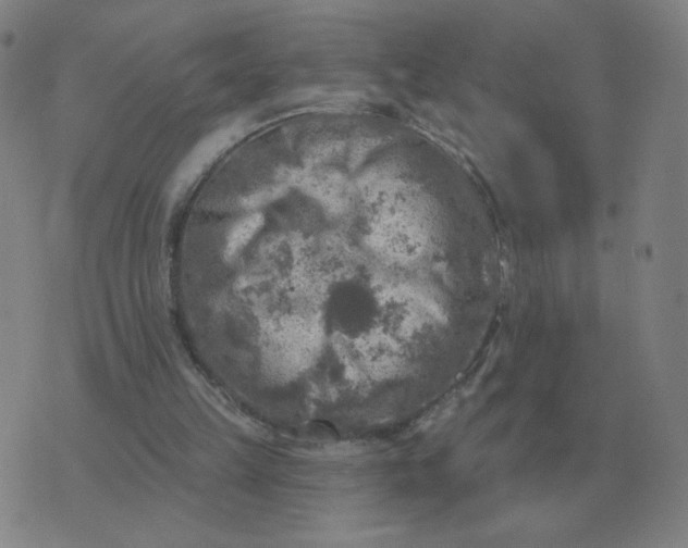 X0000074340149200609082106