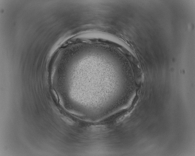 X0000074340150200609082106