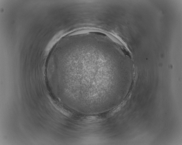 X0000074340151200609082106