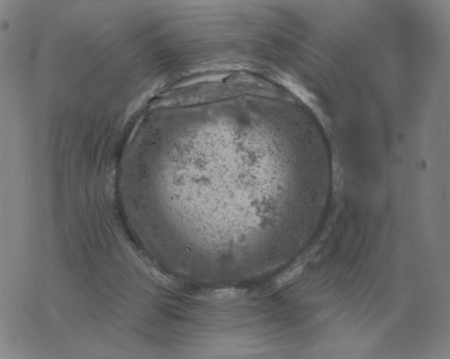 X0000074340153200609082106