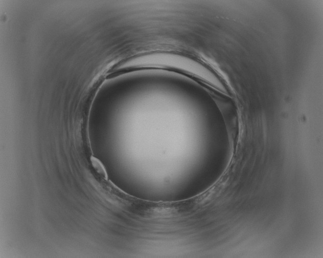 X0000074340154200609082106