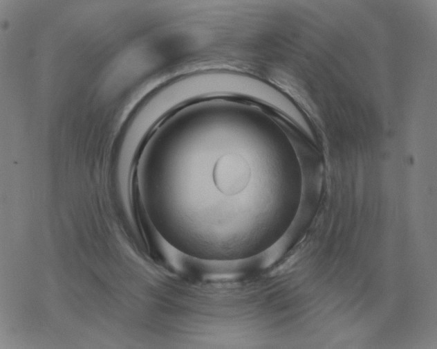 X0000074340156200609082106