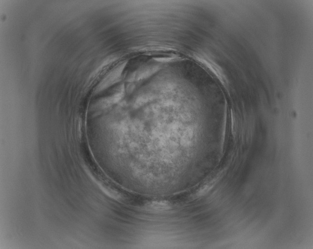 X0000074340157200609082106