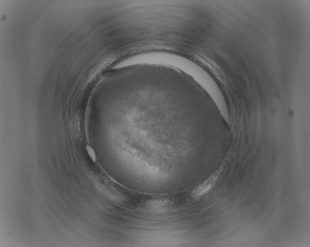 X0000074340158200609082106