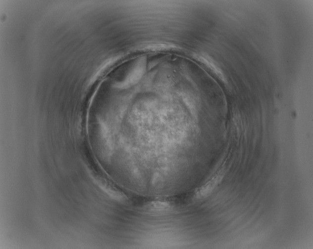 X0000074340159200609082106