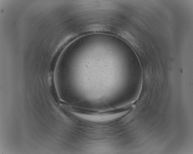 X0000074340160200609082106