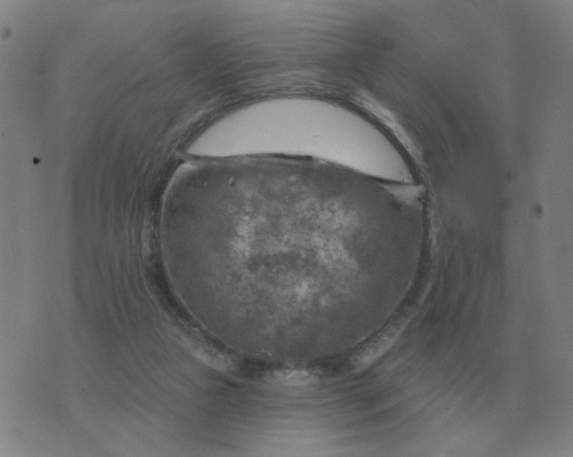 X0000074340161200609082106