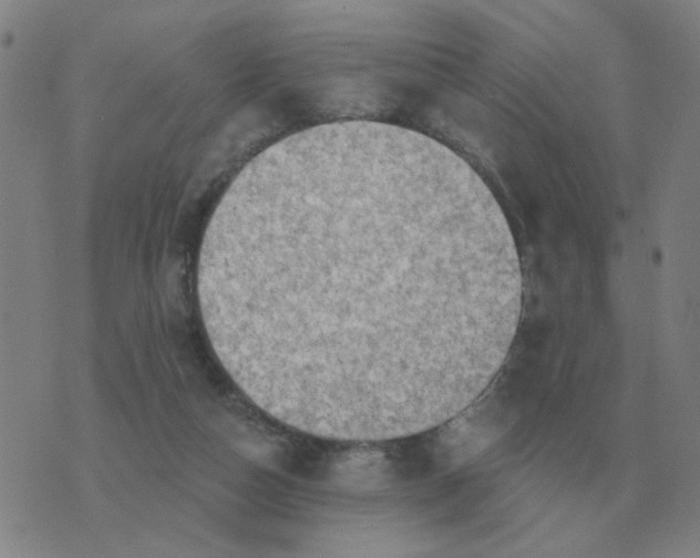 X0000074340162200609082106