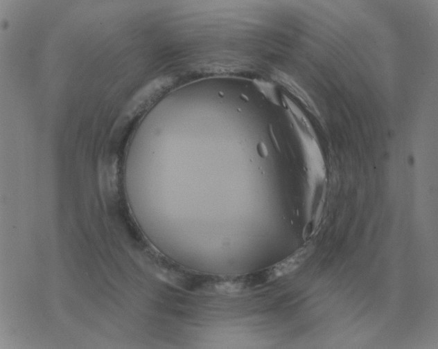 X0000074340163200609082106