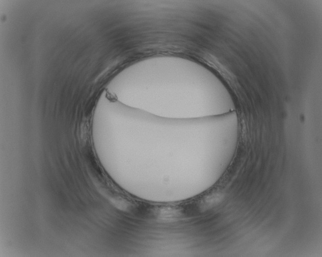 X0000074340165200609082106