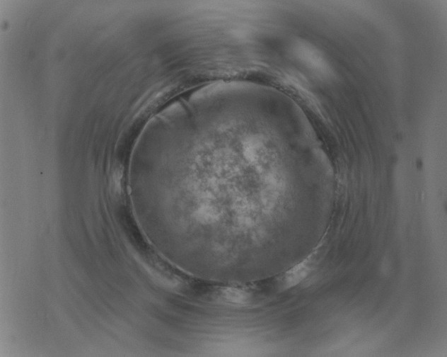 X0000074340166200609082106