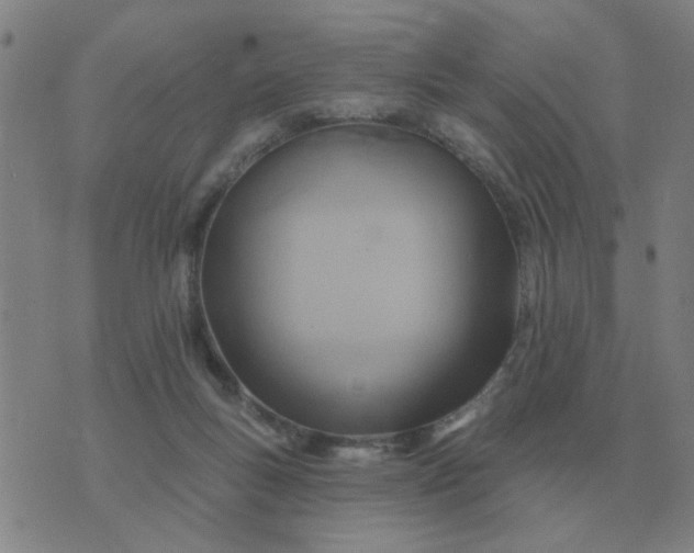 X0000074340167200609082106