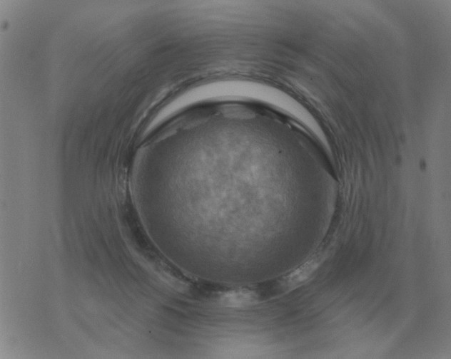 X0000074340168200609082106