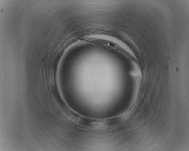 X0000074340170200609082106