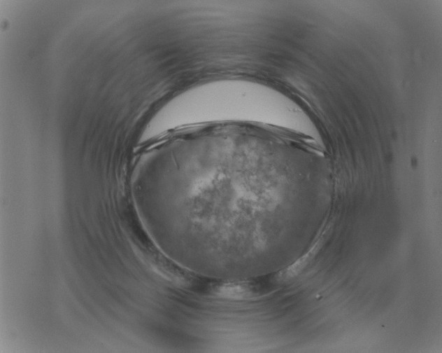 X0000074340171200609082106