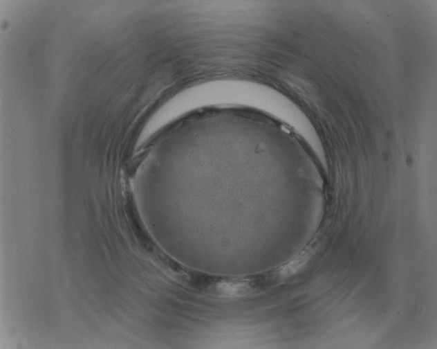 X0000074340172200609082106