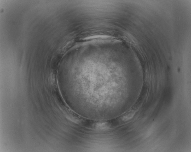 X0000074340173200609082106