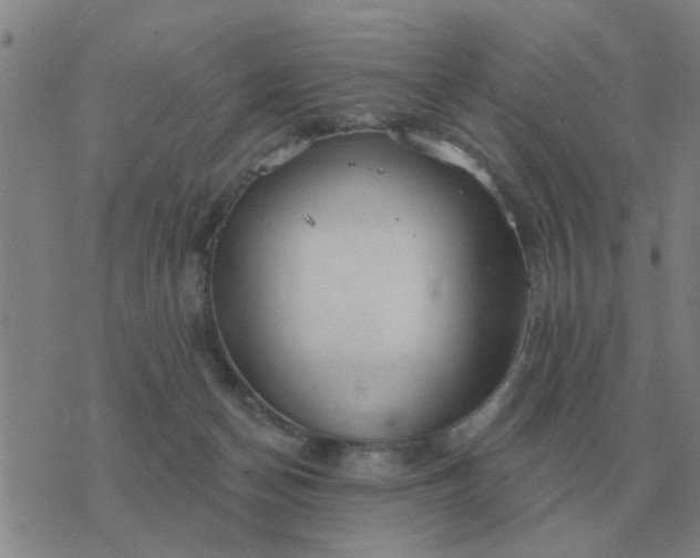 X0000074340174200609082106