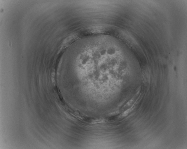 X0000074340175200609082106