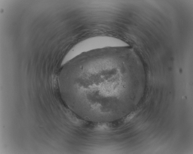 X0000074340177200609082106